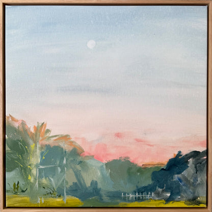 Morning moon
